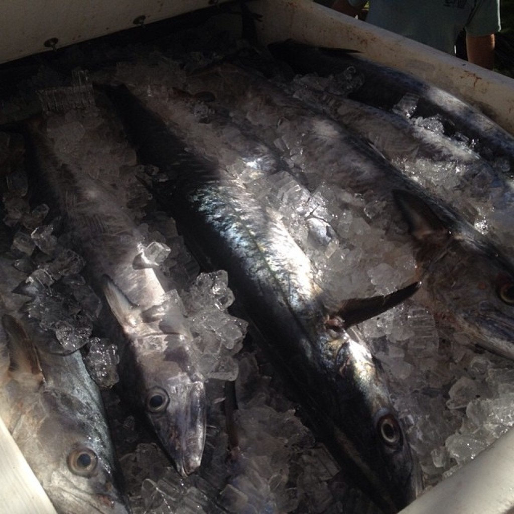 Is Night Fishing in Key West Worth It for Offshore Trips?