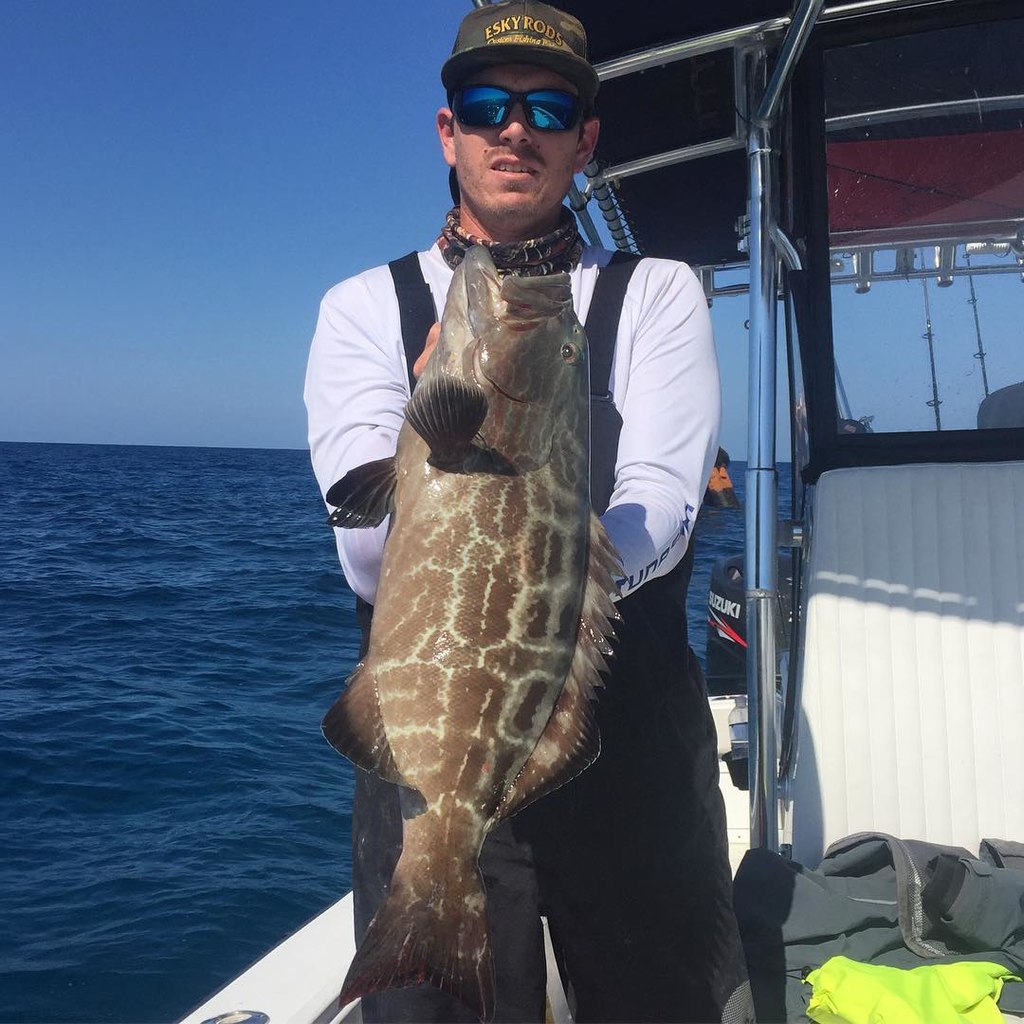 Reef and offshore fishing combined in one Key West trip