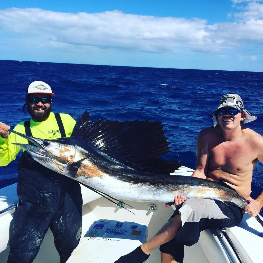 Why Sailfish Season in Key West Attracts So Many Anglers